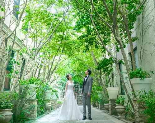 目白の森 メーヤー・ライニンガーの画像2