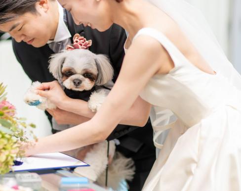 JASMAC YAKUMO（ジャスマック八雲）の画像4