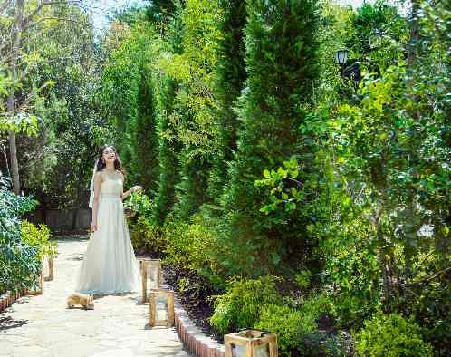 アールベルアンジェ チャペル嵯峨野の画像6