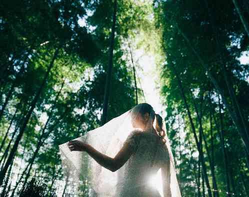 アールベルアンジェ チャペル嵯峨野の画像1