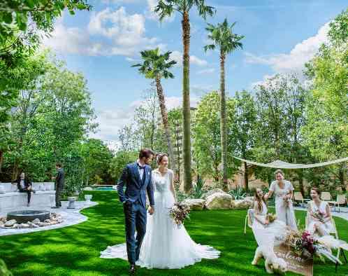 ザ・ロイヤルクラシック姫路の写真4