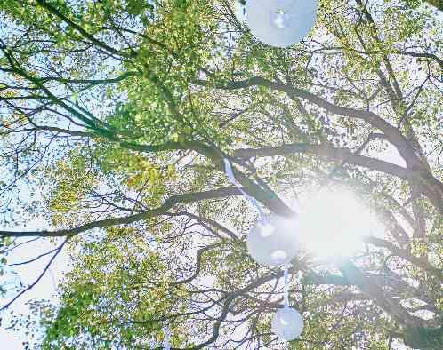 ベルクラシック姫路の画像6