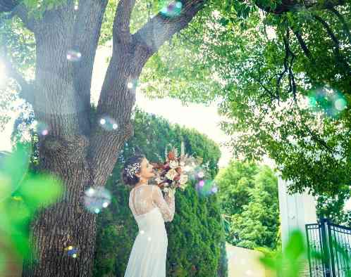 ベルクラシック姫路の写真4