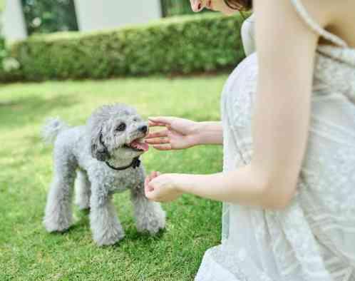 ニーズ岐阜 by T&G WEDDING(旧 アーフェリーク迎賓館 岐阜)の写真6