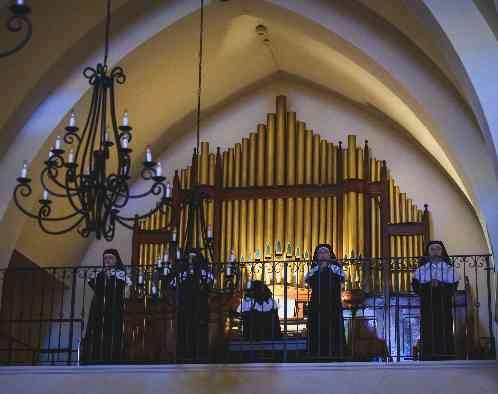 メゾン・ド・ラ・クール Maison de la Cour（旧 ヴィラデマリアージュ高崎）の画像4