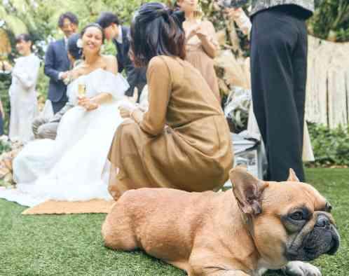 ホテルグランドティアラ南名古屋の写真3