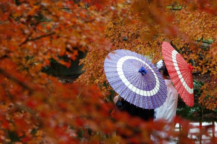 新郎新婦　和装　紅葉