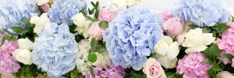 披露宴　テーブル　装花　アジサイ