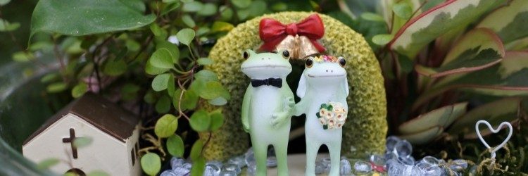 カエル　ウェルカムスペース　夏