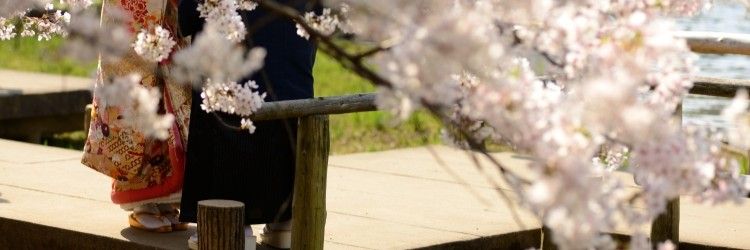 新郎新婦 和装 色打掛