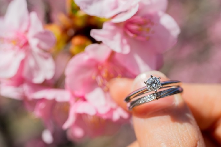 結婚指輪　婚約指輪　桜　春