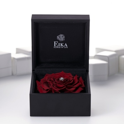 EIKA　婚約指輪　ダイヤモンド