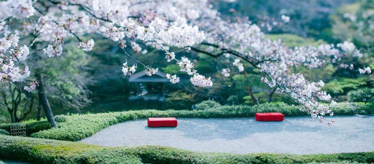 結婚式　日本庭園　八芳園