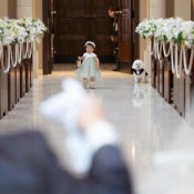 大切なペットも一緒に♪結婚式まるわかり相談会の詳細を見る