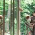 \2027年春・夏挙式先行チャンス/四季のウェディングフェアのイメージ