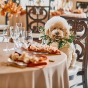 <ペット婚*必見!!>豪華10大特典&愛犬と*貸切リゾートW
