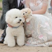 【ペット婚必見★】挙式もパーティも大切な家族と*アットホームWD