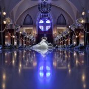 【大聖堂＆ロケーションフォトWD】フォトWD相談会