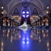 【ロケーションフォト＆大聖堂フォトWD】フォトWD相談会の詳細を見る