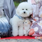 ★ペット婚必見★挙式もパーティも大切な家族*アットホームWD