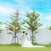 【緑×距離感×記録を大事に30~50名貸切W】贅沢試食×Dress試着