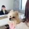 【愛犬☆ペットと一緒にブライダルフェア♪】試食＆特典付き