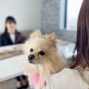 【愛犬☆ペットと一緒にブライダルフェア♪】試食&特典付き