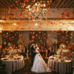 \本当のオリジナルWDを体感/20大特典×3万円フルコース試食