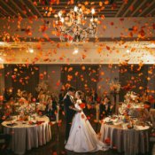 \本当のオリジナルWDを体感/20大特典×3万円フルコース試食