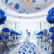 《90分で体感》短時間で会場見学をしたいおふたりへ90分で当館の魅力をお届け♪