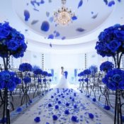 《90分で体感》短時間で会場見学をしたいおふたりへ90分で当館の魅力をお届け♪