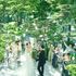 \豪華8大*特典/全館ALL体験×自然光チャペル×貸切邸宅Wのイメージ