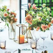 《探し始めカップル向け》全て分かる!試食×ドレス見学×相談会