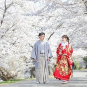 ≪平日も開催！≫和婚も神社挙式も◎ 和婚相談会