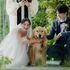 【わんダフル婚】<愛犬も同伴見学OK>リングドッグ体験＆会場案内のイメージ