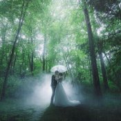 【２件目以降の見学の方へ】会場＆料理＆予算を比較解説　試食付フェアの詳細を見る