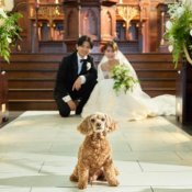 【愛犬と一緒にウエディング】ペット婚×おいしいと評判◎の試食