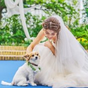 【愛犬と一緒にウエディング】ペット婚×おいしいと評判◎の試食の詳細を見る