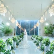 【1件目来館特典】感動挙式体験&ドレス優待20万円分付