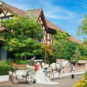 \年イチBIG/【カプセル抽選会付】ドレス×4万美食試食