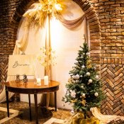 ★クリスマス限定★美食コース特別試食券×ドレス等豪華成約特典