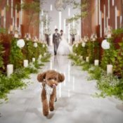 【大切なペットと叶える1日】ペットウェディング相談会