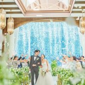 【月1限定*最大130万**】水・緑・光のNEWチャペル&花嫁ALL体験*
