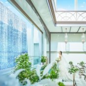 【少人数・家族Wedding】◇20名85万円～◇絶品試食付き♪相談会