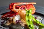 【初見学◎】和洋両方叶う上質W＆旬の食材を堪能♪豪華試食見学