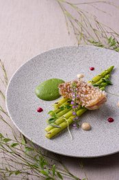 ＼連休限定／春を満喫！緑溢れる庭園×豪華試食＆桜デザート付♪の詳細を見る