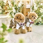 【ペット参加OK】当日記念フォト付き!ペット婚スタイル相談会