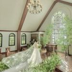 残席わずか！【当館予約数NO.1】新作ドレス×和牛試食×ALL体験