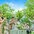 【栃木で人気4会場一気に見学】シェフ厳選和牛試食×最大180万特典のイメージ