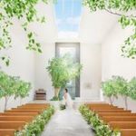 ＼6月BIG*夢の国+最大160万特典／ガーデン貸切×感動チャペル